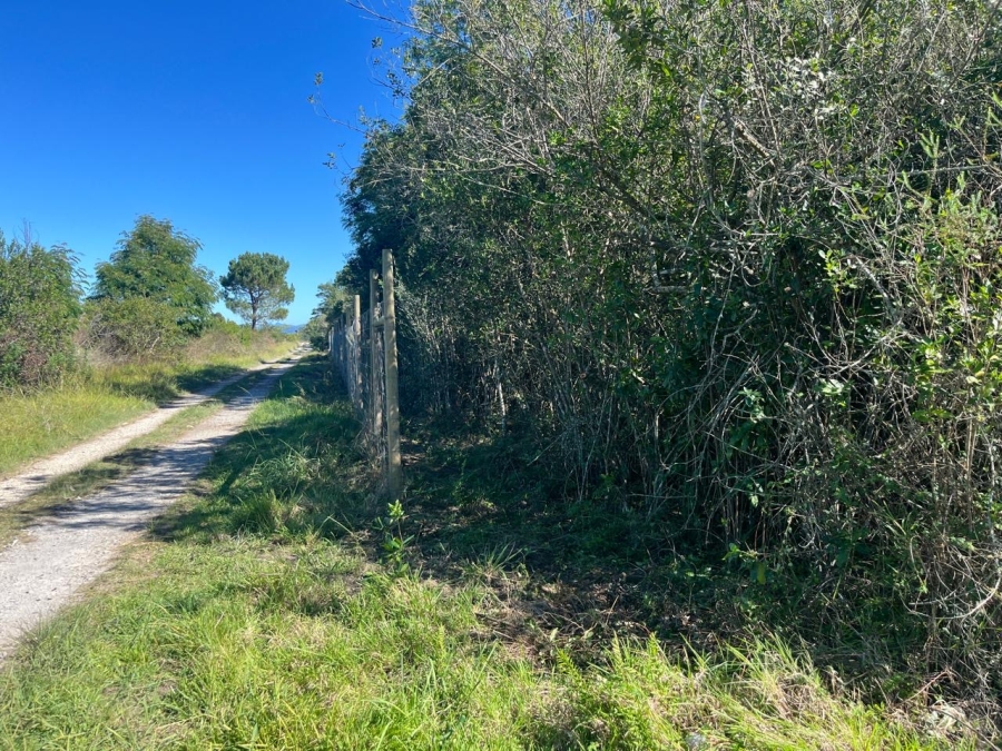 0 Bedroom Property for Sale in The Crags Western Cape